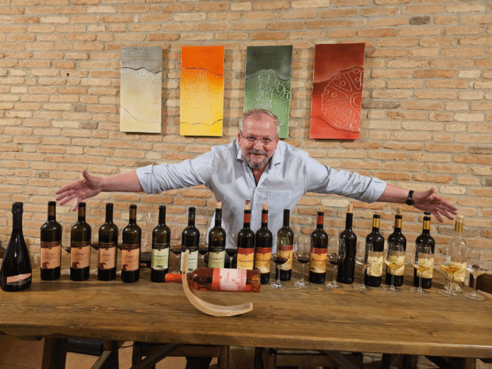 Marian Timofti, Președinte fondator FNDA