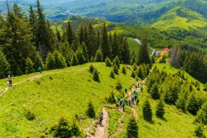 Ciucaș finalizează reabilitarea traseului Valea Berii – Vârful Ciucaș – Muntele Roșu