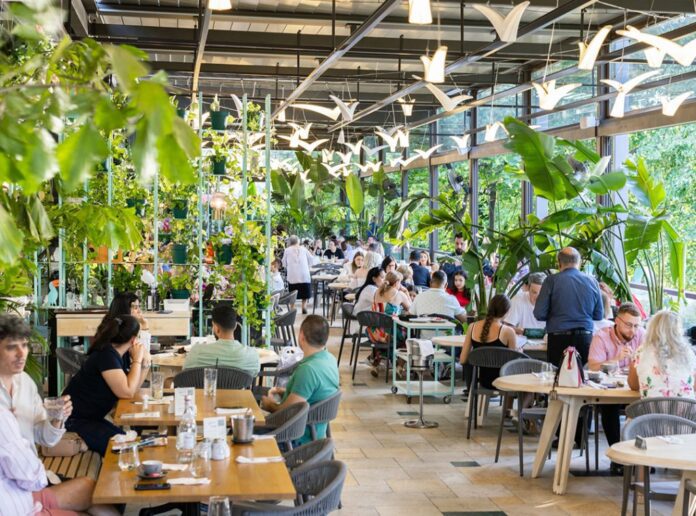 City Grill reduce la jumătate investițiile planificate pentru 2026