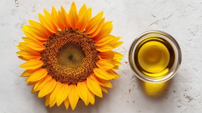 Uleiul românesc Republika intră pe piața din China